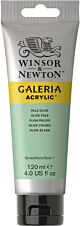 Winsor & Newton Galeria Acrylic Colour 120ml Pale Olive