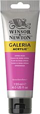 Winsor & Newton Galeria Acrylic Colour 120ml Opera Rose