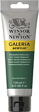 Winsor & Newton Galeria Acrylic Colour 120ml Permanent Green Deep