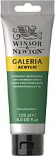 Winsor & Newton Galeria Acrylic Colour 120ml Permanent Green Medium