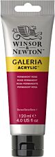 Winsor & Newton Galeria Acrylic Colour 120ml Permanent Rose