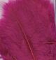 Veren Marabou Fuchsia