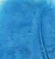 Veren Marabou turquoise