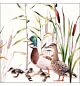 Servet 33x33cm 5 stuks Ducks couple