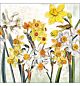 Servetten Narcissus, 5 st