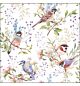 Servetten Busy birds 5 st.