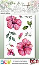 Studio EELZ Clear Stamps Birds & Flowers 1 Amazing Hibiscus