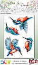 pre-order (begin juni verwacht) Studio EELZ Clear Stamps Birds & Flowers 1 Fabulous Kingfisher 