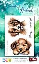 Studio EELZ Clear Stamps Secret of Nature Precious Puppy