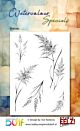Studio EELZ Clear Stamps Watercolour Specials Grasses