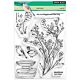 Penny Black NURTURE (CLEAR STAMPS)