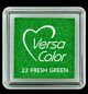 VersaColor small Inkpad - Fresh Green 