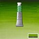 Winsor & Newton Professional Water Colour 5ml Permanent Sap Green