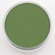 PanPastel Chrom.Oxide Green Shade 660.3