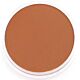 PanPastel Burnt Sienna 740.5