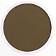 PanPastel Raw Umber 780.5