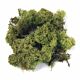 Rayher Ijslands-mos 30gram