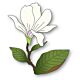 Memory Box Magnolia Blooming Bud craft die   