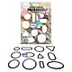 AALL & Create Geary Cutouts Die-Cutting Die Set Scallop Ovals by Autour De Mwa & Co (AALL-DI-124)
