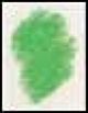 Derwent Coloursoft Potlood Pea Green