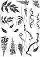 Card-io Wisteria A7 Clear Stamp Set A7 Combinations Clear Stamp Set