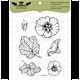 Lesia Zgharda Design Stamp set Mallow FL140
