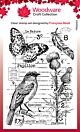 CE - Woodware Nature Page Clear Stamps 