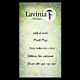 Lavinia Stamps Wild at Heart Stamp 