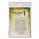 Lavinia Stamps Winter Spice 