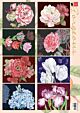 Marianne Design Decoupage Gorgious Paintings  A4, 8 designs  