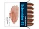 Inktpatronen Schneider pastel Cognac doos 6st.