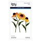 Cascading Coneflowers Etched Dies Wild Coneflowers by Simon Hurley (S4-1540)