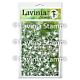 Lavinia Stamps Flourish- Lavinia Stencils