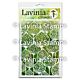 Lavinia Stamps Pods  Lavinia Stencils