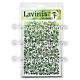 Lavinia Stamps Feather Leaf  Lavinia Stencils