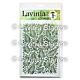 Lavinia Stamps Glory Lavinia Stencils
