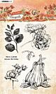 Studio Light Clear Stamps Autumn Bouquet nr.509 SL-AB-STAMP509 98x138mm
