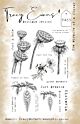 Tracy Evans The Miracle Of A Flower A5 Stamp (TE059)