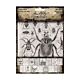 Tim Holtz Halloween Collage Paper (TH94393)