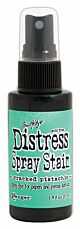 Tim Holtz Distress Spray Stain Cracked Pistachio 