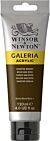 Winsor & Newton Galeria Acrylic Colour 120ml Vandyke Brown