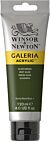 Winsor & Newton Galeria Acrylic Colour 120ml Olive Green