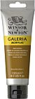 Winsor & Newton Galeria Acrylic Colour 120ml Raw Sienna