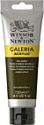 Winsor & Newton Galeria Acrylic Colour 120ml Raw Umber