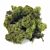 Rayher Ijslands-mos 30gram