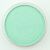 PanPastel Pearl Green  956.5