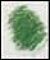 Derwent Coloursoft Potlood Mid Green