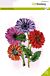 CraftEmotions clearstamps A5 - Gerbera 2 GB Dimensional stamp 