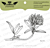 Lesia Zgharda Design Stamp clover FL111