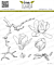 Lesia Zgharda Design Stamp Set "Magnolia blossoms" 